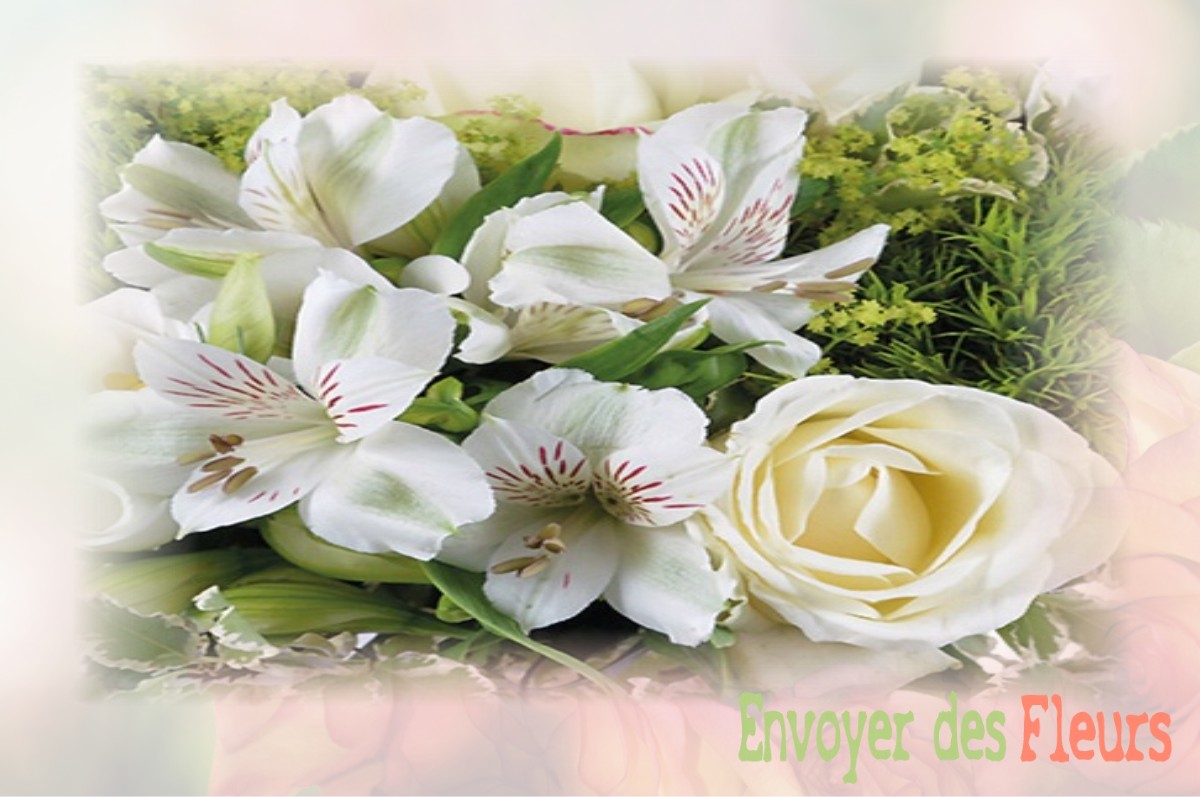 envoyer des fleurs à à DOMBASLE-EN-XAINTOIS